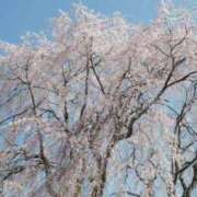 ヒメ日記 2026/04/18 01:04 投稿 RAM GINGIRA☆TOKYO～ギンギラ東京～