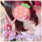 ヒメ日記 2025/05/12 09:22 投稿 ミツキ 1ROUND