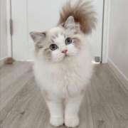 ヒメ日記 2025/12/04 09:07 投稿 あみ 人妻倶楽部 内緒の関係 大宮店