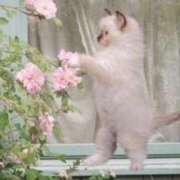 ヒメ日記 2025/02/03 13:55 投稿 あすか 【オナクラ】HAND MAID（ハンドメイド） 梅田店