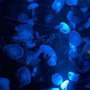 ヒメ日記 2025/02/12 12:26 投稿 あすか 【オナクラ】HAND MAID（ハンドメイド） 梅田店