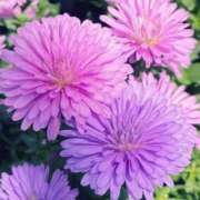 ヒメ日記 2025/02/20 20:15 投稿 あすか 【オナクラ】HAND MAID（ハンドメイド） 梅田店