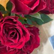 ヒメ日記 2025/02/21 23:27 投稿 あすか 【オナクラ】HAND MAID（ハンドメイド） 梅田店