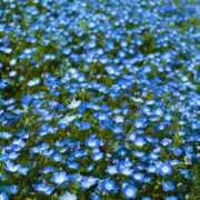 ヒメ日記 2025/02/22 09:57 投稿 あすか 【オナクラ】HAND MAID（ハンドメイド） 梅田店