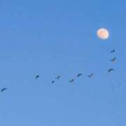 ヒメ日記 2025/03/06 13:56 投稿 あすか 【オナクラ】HAND MAID（ハンドメイド） 梅田店