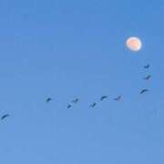 ヒメ日記 2025/03/11 14:00 投稿 あすか 【オナクラ】HAND MAID（ハンドメイド） 梅田店