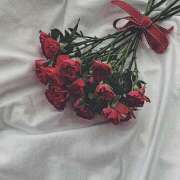 ヒメ日記 2026/01/30 13:18 投稿 あすか 【オナクラ】HAND MAID（ハンドメイド） 梅田店