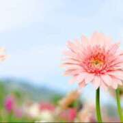 ヒメ日記 2026/02/02 18:38 投稿 あすか 【オナクラ】HAND MAID（ハンドメイド） 梅田店