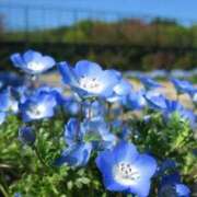 ヒメ日記 2026/02/03 18:45 投稿 あすか 【オナクラ】HAND MAID（ハンドメイド） 梅田店