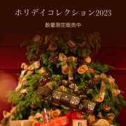 ヒメ日記 2023/12/20 20:44 投稿 ♪すみれ 水色りぼん