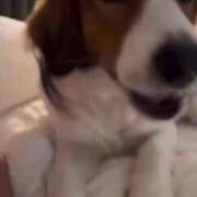 ヒメ日記 2025/04/17 17:33 投稿 ♪すみれ 水色りぼん