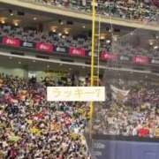 ヒメ日記 2025/04/30 09:13 投稿 ♪すみれ 水色りぼん