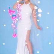 ヒメ日記 2025/05/31 09:43 投稿 ♪すみれ 水色りぼん