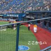 ヒメ日記 2025/07/05 17:43 投稿 ♪すみれ 水色りぼん