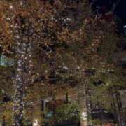 ヒメ日記 2025/11/29 21:13 投稿 ♪すみれ 水色りぼん