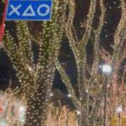 ヒメ日記 2025/12/14 19:53 投稿 ♪すみれ 水色りぼん