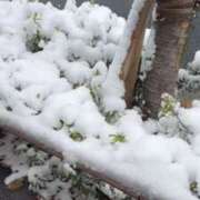 ヒメ日記 2026/02/09 06:03 投稿 ♪すみれ 水色りぼん