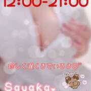 ヒメ日記 2026/08/20 11:52 投稿 サヤカ クレイジーホース