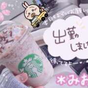 ヒメ日記 2024/12/22 12:00 投稿 ミオナ クレイジーホース