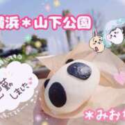 ヒメ日記 2025/04/10 11:54 投稿 ミオナ クレイジーホース