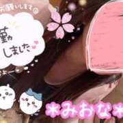 ヒメ日記 2025/05/29 11:52 投稿 ミオナ クレイジーホース