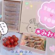 ヒメ日記 2025/06/03 23:22 投稿 ミオナ クレイジーホース