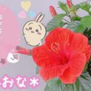 ヒメ日記 2025/06/25 11:46 投稿 ミオナ クレイジーホース