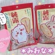 ヒメ日記 2025/10/15 23:52 投稿 ミオナ クレイジーホース