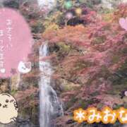 ヒメ日記 2025/11/23 11:52 投稿 ミオナ クレイジーホース