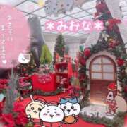 ヒメ日記 2025/12/22 11:54 投稿 ミオナ クレイジーホース