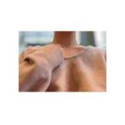 ヒメ日記 2025/02/23 18:38 投稿 サヤ 1ROUND