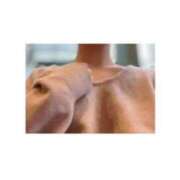 ヒメ日記 2025/02/26 19:07 投稿 サヤ 1ROUND