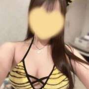 ヒメ日記 2026/02/17 16:51 投稿 きき マツタケヒロシ