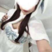 ヒメ日記 2026/02/22 18:21 投稿 きき マツタケヒロシ