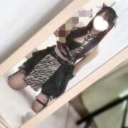 ヒメ日記 2026/02/28 18:21 投稿 きき マツタケヒロシ