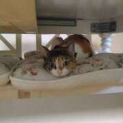 ヒメ日記 2025/02/16 11:41 投稿 ななみ 奥様電車