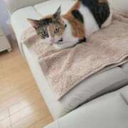 ヒメ日記 2025/10/04 06:11 投稿 ななみ 奥様電車