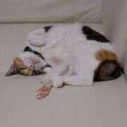 ヒメ日記 2025/11/09 18:15 投稿 ななみ 奥様電車