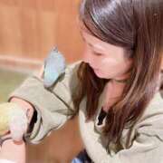 ヒメ日記 2025/02/15 23:36 投稿 初音とあ Darlin Premium(ダーリンプレミアム)