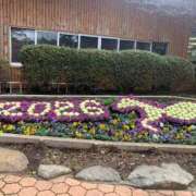 ヒメ日記 2026/01/05 06:04 投稿 ことみ 熟女の風俗最終章 仙台店