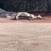 ヒメ日記 2026/02/09 16:04 投稿 ことみ 熟女の風俗最終章 仙台店