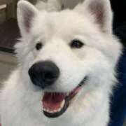 ヒメ日記 2026/02/10 15:57 投稿 ことみ 熟女の風俗最終章 仙台店