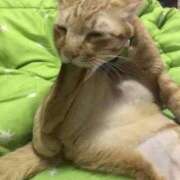 ヒメ日記 2024/12/15 20:48 投稿 敷浪あすか THE痴漢電車.com