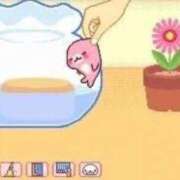 ヒメ日記 2025/11/15 23:13 投稿 敷浪あすか THE痴漢電車.com