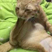 ヒメ日記 2024/12/15 20:32 投稿 惣流あすか 全裸美女からのカゲキな誘惑