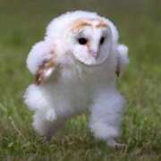 ヒメ日記 2025/05/10 20:02 投稿 惣流あすか 全裸美女からのカゲキな誘惑