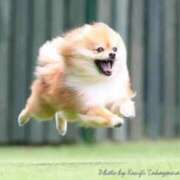 ヒメ日記 2025/09/18 20:48 投稿 惣流あすか 全裸美女からのカゲキな誘惑