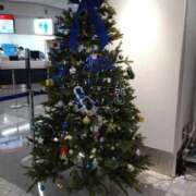 ヒメ日記 2024/12/12 07:16 投稿 ゆめか(AF無料) FResh(素人・可愛い)都城店