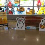 ヒメ日記 2025/01/16 12:26 投稿 ゆめか(AF無料) FResh(素人・可愛い)都城店