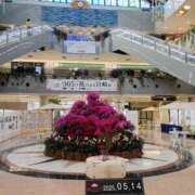 ヒメ日記 2025/05/15 01:48 投稿 ゆめか(AF無料) FResh(素人・可愛い)都城店